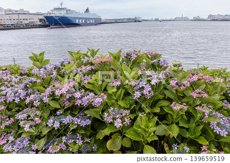 A cluster of tiny flowers, shrouded in purple, blue, and red mist, perfectly suited to the rain, will blossom into a magnificent flower. A cluster of tiny flowers, shrouded in purple, blue, and red mist, perfectly suited to the rain, will blossom into a magnificent flower. 139659519