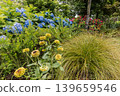 A cluster of tiny flowers, shrouded in purple, blue, and red mist, perfectly suited to the rain, will blossom into a magnificent flower. 139659546