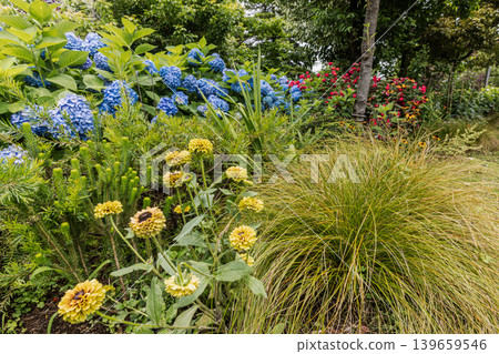 A cluster of tiny flowers, shrouded in purple, blue, and red mist, perfectly suited to the rain, will blossom into a magnificent flower. A cluster of tiny flowers, shrouded in purple, blue, and red mist, perfectly suited to the rain, will blossom into a magnificent flower. 139659546