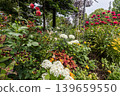 A cluster of tiny flowers, shrouded in purple, blue, and red mist, perfectly suited to the rain, will blossom into a magnificent flower. 139659550