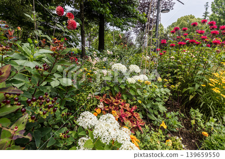A cluster of tiny flowers, shrouded in purple, blue, and red mist, perfectly suited to the rain, will blossom into a magnificent flower. 139659550
