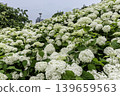 A cluster of tiny flowers, shrouded in purple, blue, and red mist, perfectly suited to the rain, will blossom into a magnificent flower. 139659563