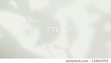 Green Beige Shadow Abstract Background Overlay Leaf Natural blur Cement Wall Floor Mockup Product Cosmetic Summer Tropical Nature Presentation Frame Template Eco Backdrop Environment Platform. Green Beige Shadow Abstract Background Overlay Leaf Natural blur Cement Wall Floor Mockup Product Cosmetic Summer Tropical Nature Presentation Frame Template Eco Backdrop Environment Platform. 139659703