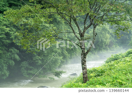 The flow of the Himekawa River in Hakuba Oide Park The flow of the Himekawa River in Hakuba Oide Park 139660144