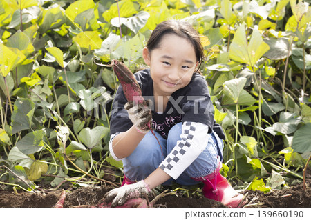 孩子們在田裡挖地瓜,玩得不亦樂乎。 孩子們在田裡挖地瓜,玩得不亦樂乎。 139660190
