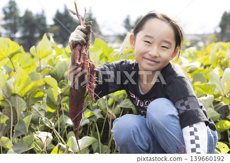 孩子們在田裡挖地瓜，玩得不亦樂乎。 139660192