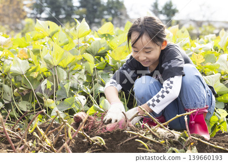 孩子們在田裡挖地瓜，玩得不亦樂乎。 139660193