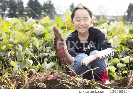 孩子們在田裡挖地瓜，玩得不亦樂乎。 139660194