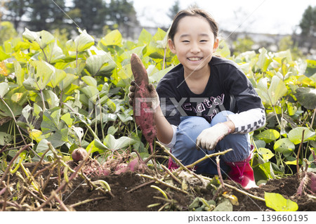 孩子們在田裡挖地瓜，玩得不亦樂乎。 139660195