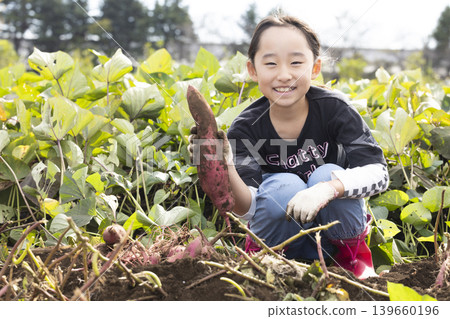 孩子們在田裡挖地瓜，玩得不亦樂乎。 139660196
