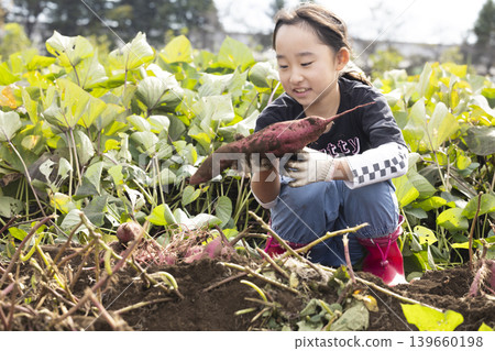 孩子們在田裡挖地瓜，玩得不亦樂乎。 139660198