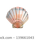 Delicate watercolor illustration of a scallop seashell featuring soft pink, peach, and blue tones. Hand drawn marine element with realistic textures, perfect for summer, beach, or nautical themed 139661043