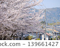 俯瞰櫻花樹和山脈的住宅區：典型的日本春日美景，與豐富的自然風光和諧共融－木津川市南鴨台 139661427