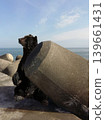 銫子2號 139661431
