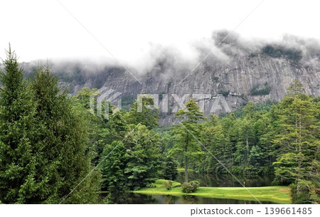 Green forest landscape with mountains and cloudy sky Green forest landscape with mountains and cloudy sky 139661485