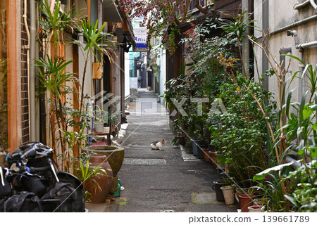 【大分縣別府市】別府站週邊小巷風光 【大分縣別府市】別府站週邊小巷風光 139661789