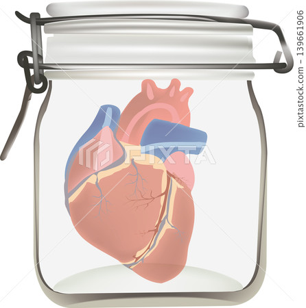 Anatomical heart preserved in glass jar for scientific research Anatomical heart preserved in glass jar for scientific research 139661906