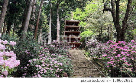 Kisakusa和Murofushi 5層寶塔 Kisakusa和Murofushi 5層寶塔 139662681