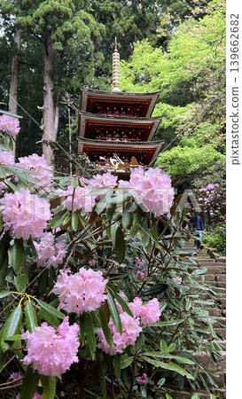 Kisakusa和Murofushi 5層寶塔 Kisakusa和Murofushi 5層寶塔 139662682
