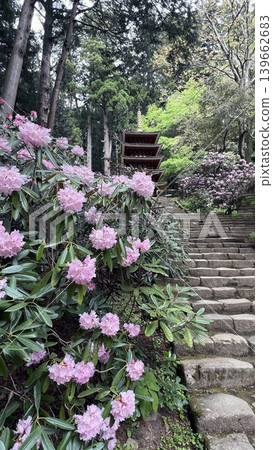 Kisakusa和Murofushi 5層寶塔 Kisakusa和Murofushi 5層寶塔 139662683
