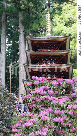 Kisakusa和Murofushi 5層寶塔 139662684
