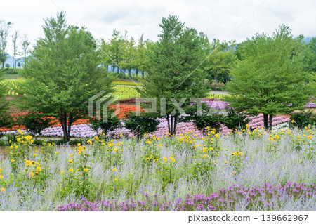 Hills with colorful flowers Hills with colorful flowers 139662967
