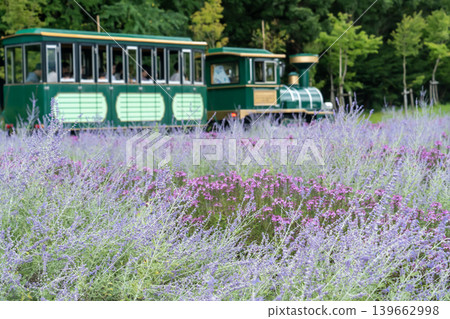 花田和遊樂園汽車 139662998