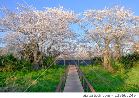 Lake Biwa Waterfowl Observation Facility Lake Biwa Waterfowl Observation Facility 139663249