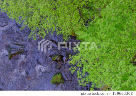 Fresh greenery in Takao and the Kiyotaki River Fresh greenery in Takao and the Kiyotaki River 139663308