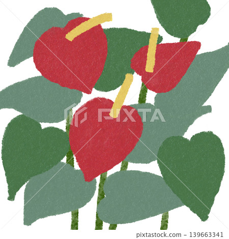 花卉插圖:紅掌 花卉插圖:紅掌 139663341