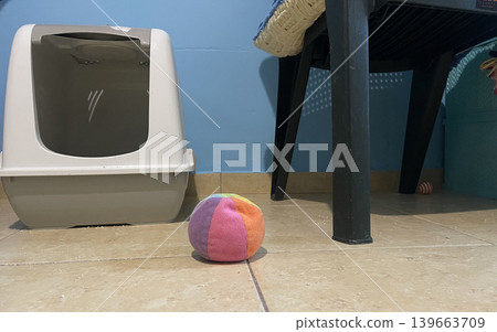 Colorful soft ball on tiled floor near pet litter box in indoor space Colorful soft ball on tiled floor near pet litter box in indoor space 139663709