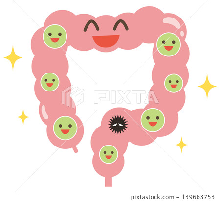 Large intestine with a predominance of beneficial bacteria 139663753
