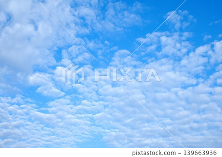 背景圖片為廣闊的捲積雲和白色薄雲,映襯著蔚藍的天空。 背景圖片為廣闊的捲積雲和白色薄雲,映襯著蔚藍的天空。 139663936