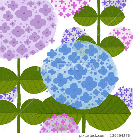 花卉插圖:繡球花 花卉插圖:繡球花 139664276