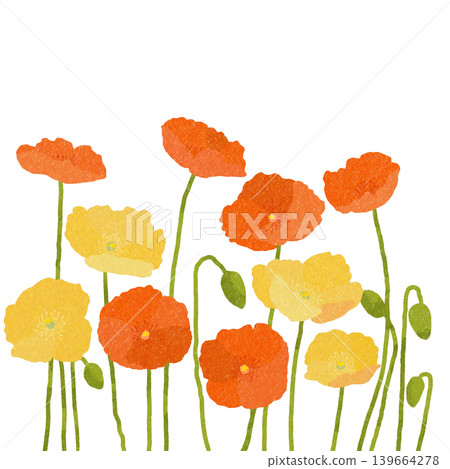 花卉插圖:罌粟 花卉插圖:罌粟 139664278