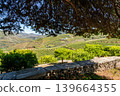 Terraced vineyards and village in Douro Valley Portugal 139664355