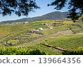Terraced vineyards and village in Douro Valley Portugal 139664356