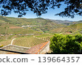 Terraced vineyards and village in Douro Valley Portugal 139664357