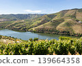 Scenic view of terraced vineyards in Douro Valley Portugal 139664358