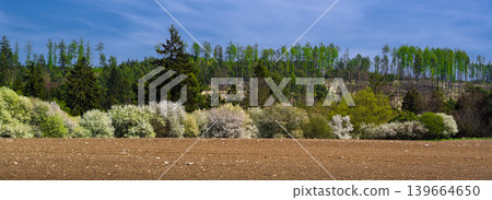 Spring landscape in Moravia. South Moravia, Czech Republic. Spring landscape in Moravia. South Moravia, Czech Republic. 139664650