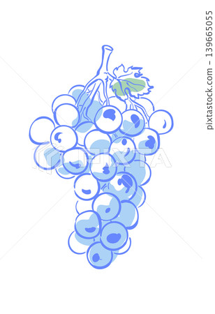 Vintage grape sketch with soft blue color. Whimsical wine fruit doodle as simple mediterranean symbol. Classic italy food motif suits sicily picnic menu art and wine restaurant card with light retro Vintage grape sketch with soft blue color. Whimsical wine fruit doodle as simple mediterranean symbol. Classic italy food motif suits sicily picnic menu art and wine restaurant card with light retro 139665055