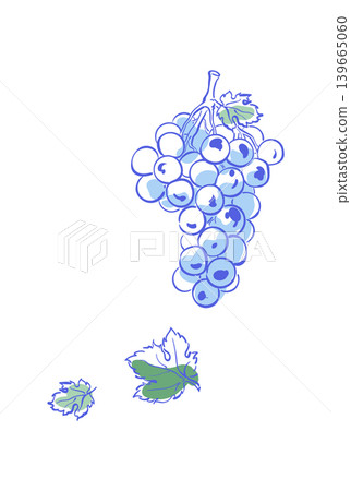 Whimsical blue grape ink line art on white. Wine fruit cluster appears as cute food symbol and playful drink icon. Minimalist outline suits party or wedding invitation and restaurant menu card with Whimsical blue grape ink line art on white. Wine fruit cluster appears as cute food symbol and playful drink icon. Minimalist outline suits party or wedding invitation and restaurant menu card with 139665060