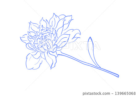 Whimsical flower sketch in blue outline style. Elegant hand drawn flower doodle as delicate icon. Minimalist floral element on clean background suits cafe invitation card and social media frame. Whimsical flower sketch in blue outline style. Elegant hand drawn flower doodle as delicate icon. Minimalist floral element on clean background suits cafe invitation card and social media frame. 139665068