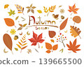 Colorful autumn set of leaves, maple and acorns on white background. 139665500