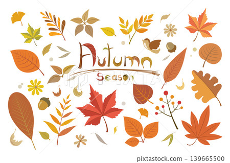 Colorful autumn set of leaves, maple and acorns on white background. Colorful autumn set of leaves, maple and acorns on white background. 139665500