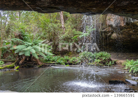 Kalimna Falls along Cumberland River trek, Great Ocean Road, Australia Kalimna Falls along Cumberland River trek, Great Ocean Road, Australia 139665591