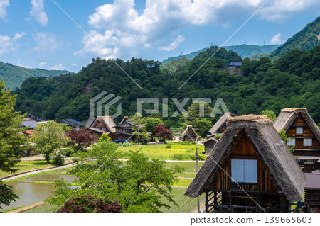 Traditional rice fields and gassho houses in Shirakawa-go village, Japan Traditional rice fields and gassho houses in Shirakawa-go village, Japan 139665603