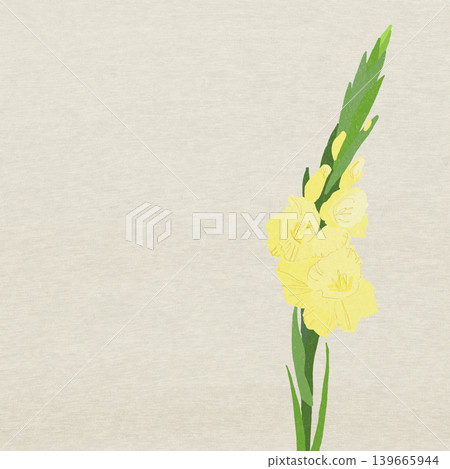 Hand-drawn flower illustration: Gladiolus Hand-drawn flower illustration: Gladiolus 139665944