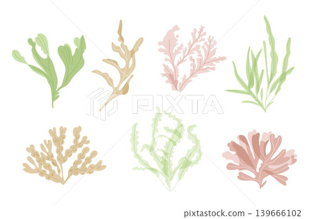 Collection of six colorful seaweed illustrations featuring various shapes and textures, including green, pink, and beige hues on a white background Collection of six colorful seaweed illustrations featuring various shapes and textures, including green, pink, and beige hues on a white background 139666102