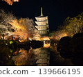 京都東寺：秋葉在五重塔上被燈光照亮，映照在池塘中－夜景 139666195